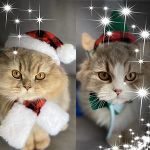 Meet your Posher, Kayi